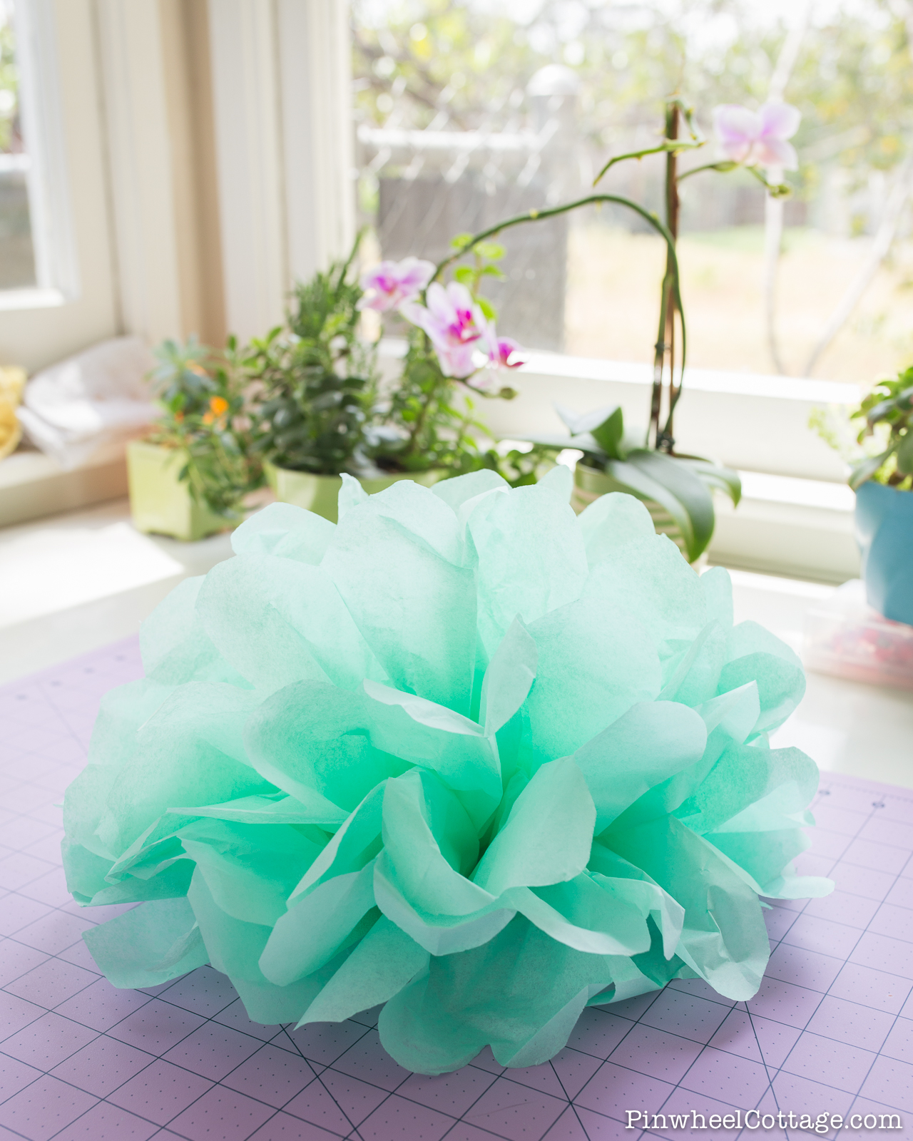 How to make tissue paper pom poms2 Loganberry Handmade