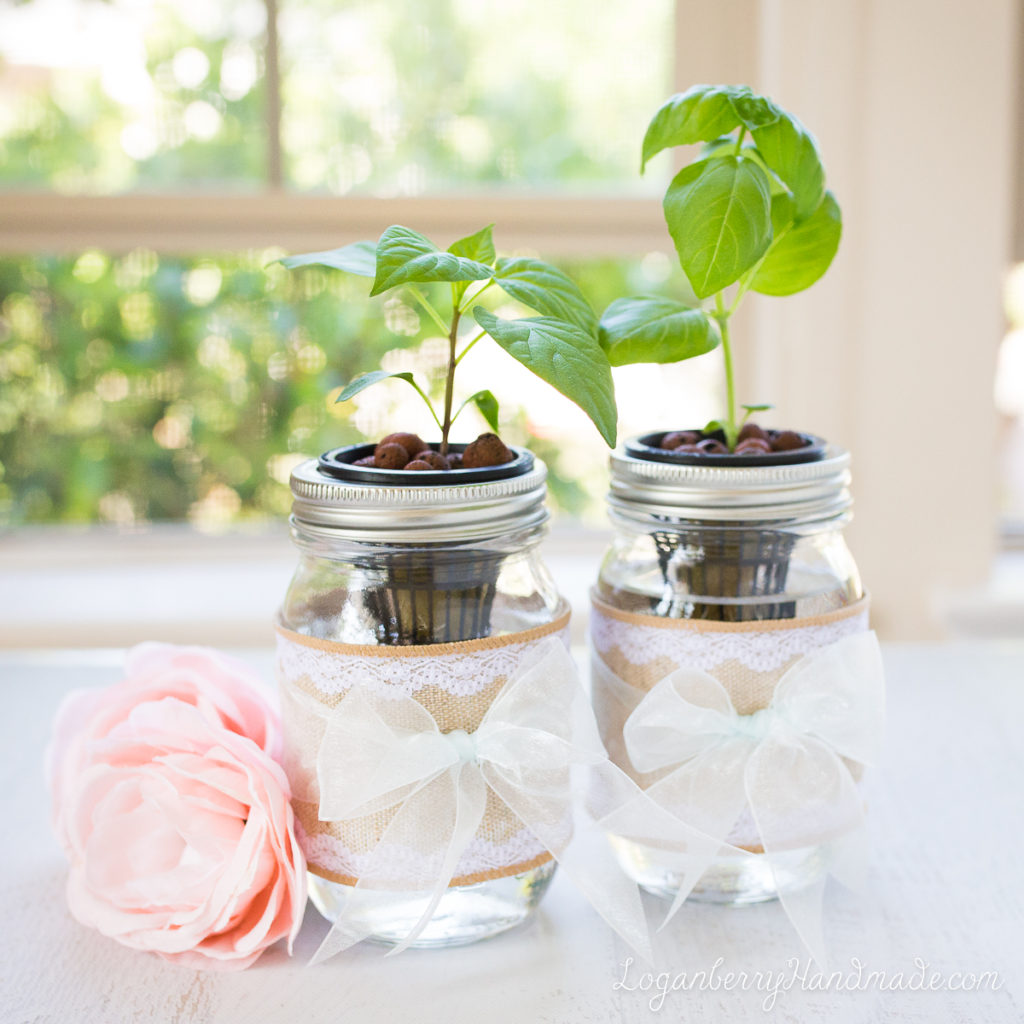 Mason jar best sale mother's day gifts